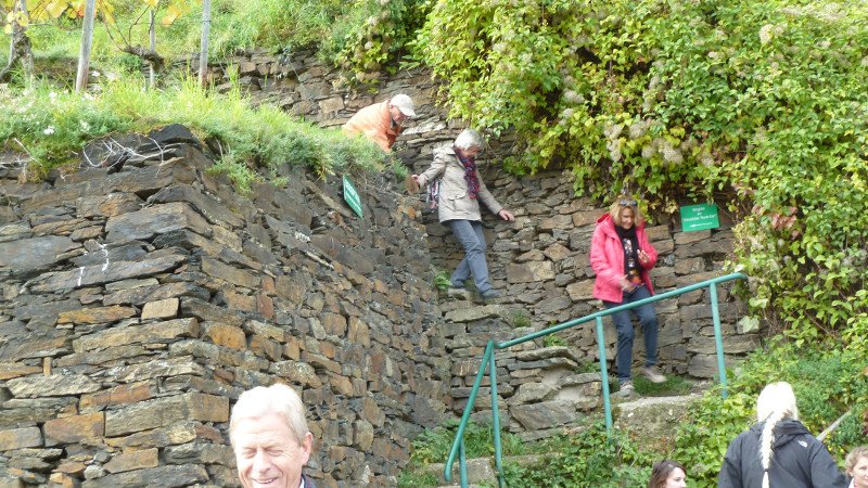 Rotweinwanderung 24.10.2015